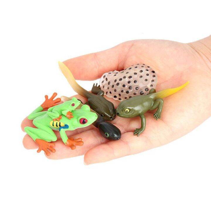 zzooi-latest-lifelike-animals-panda-moth-life-cycle-insect-penguin-frog-figurines-diy-action-figures-early-education-toys-for-children