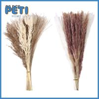 Pethome หญ้าหางกระต่ายสีขาวสไตล์ตะวันตก Phragmites การตกแต่งบ้านช่อดอกไม้ผสมธรรมชาติ17นิ้ว Pampas ปุยแห้ง Pampas หญ้าเทียม Boho