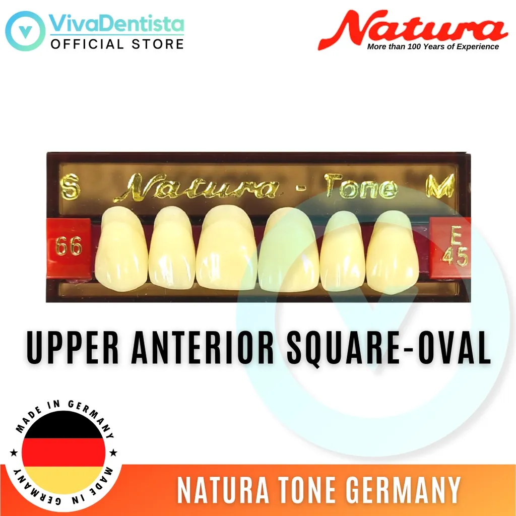 Natura Tone Germany (Upper Anterior Square-Oval) Cross-linked Acrylic Resin Teeth  Dental Pontics | Lazada PH