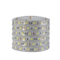 Waterproof LED Strip 5050 DC12V 24v 120LEDsm Flexible LED Light RGB RGBW 5050 LED Strip 600LEDs Decoracion For Room 5mlot