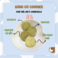 Bánh Cỏ Cookies Mài Răng Cho Thỏ, Bọ Ú, Chinchilla thumbnail