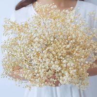 【cw】 Dried Flowers Babys Breath Bouquet Ivory Gypsophila Branches for Wedding Table Vase