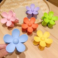 【CW】 Korea Hair Claw Clip for Crab Claws Ponytail Hairpins Barrette Headwear Accessories