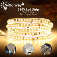 AC 220V แถบไฟ LED 2835SMD 120 Led/ เมตรโคมไฟกลางแจ้งแบบยืดหยุ่นเทป LED กันน้ำพร้อมปลั๊กไฟ EU