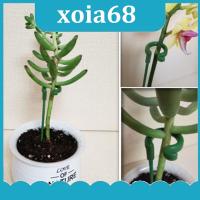 xoia68 Shop 5pcs Plastic Plant Supports Flower orchid Stand Holder Bracket Reusable Protection Fixing Tools Gardening Supplies