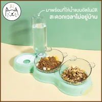 ส่งฟรี KUMAま ชามใสหูหมีน้อย แพ็คคู่ พร้อมที่ให้น้ำอัตโนมัติ ชาม3ช่อง ชามข้าวสุนัข ชามแมว ชามอาหารหมา ชามน้ำอาหาร เลี้ยงสัตว์