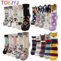 5 Pairs Fashion Colorful Four Season Harajuku Korean Women Cotton Socks Kawaii Cute Cartoon Cat Dog Fox Pack Socks for Girl