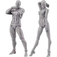 Body Doll, Artists Manikin Blockhead Jointed Mannequin Drawing Figures Male+Female Set