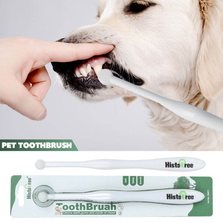 Dog on sale tongue brush