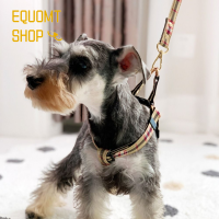 EQUOMT สายรัดสไตล์อังกฤษแมวรูปตัว I ผูกโบว์เครื่องประดับสุนัขปลอกคอสุนัขน่ารักเสื้อกั๊กสัตว์เลี้ยง