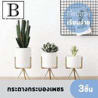 BKK.DECOR กระถาง กระถางดอกไม้ กระบองเพชร น่ารัก แต่งบ้าน ออฟฟิต อินนอร์ดิก หลุม แจกัน (กระถางกระบองเพชร : SET 3ใบ) ของแต่งบ้าน เหล็กเรียบง่าย