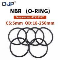 NBR O Ring Seal Gasket Thickness CS5mm OD18-250mm Wear Resistant Automobile Petrol Nitrile Rubber O-Ring Waterproof Black Gas Stove Parts Accessories