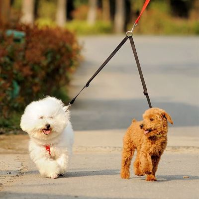 （PAPI PET）สายจูงเดินสองทาง,สายจูงเดินสำหรับลูกสุนัขไนลอนคู่สองทางสายจูงสองทางสายจูงสัตว์เลี้ยงแมวลูกหมาคู่