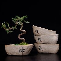 【CC】 Non-porous Hydroponic Flowerpot Stoneware Money Handwritten Pot