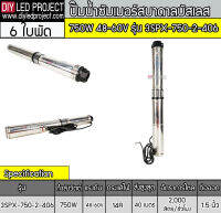 ปั๊มบาดาลบัสเลส 750W 48-60V รุ่น 3SDPX-750-2-40/6  (6ใบพัด)