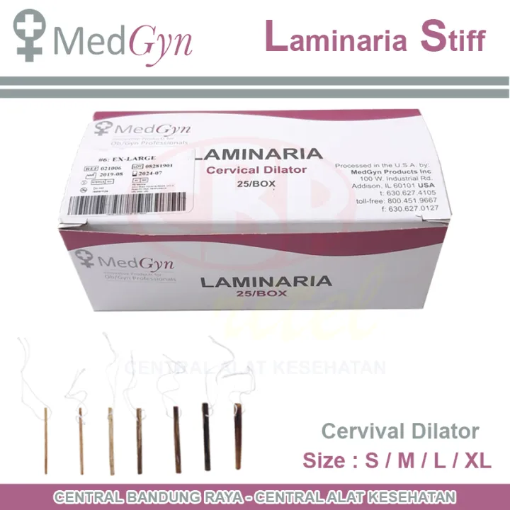 MEDGYN Laminaria Stiff Cervical Dilator | Size : S / M / L / XL ...