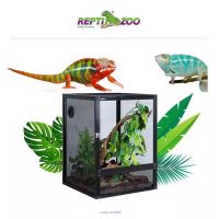 REPTIZOO กรงกิ้งก่า คาเมเลี่ยน เวลล์ เจ็คสัน แพนเธอร์