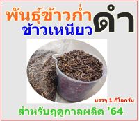 เมล็ดพันธุ์ข้าวเหนียวดำ ข้าวก่ำ บรรจุ 1 กิโลกรัม