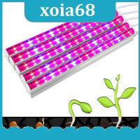 xoia68 Shop Red blue Plant Grow Light T5 Tube LED For Indoor Greenhouse Hydroponic System Lamp grow Tent box Flower Plants Growth Switch