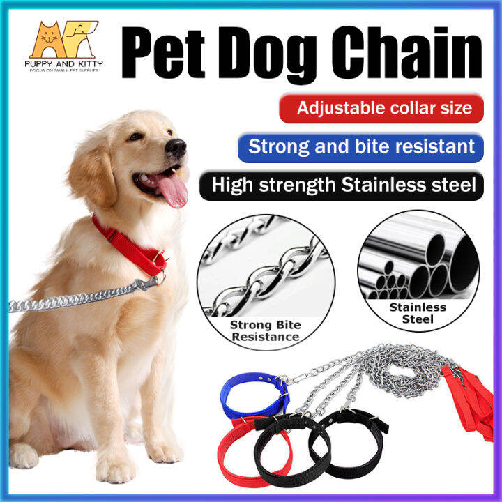 Dog chain 1.2M/ 1.7M stainless steel dog chain with dog collar Lazada PH