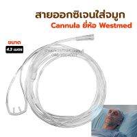 Westmed สายออกซิเจนใส่จมูก ยาว 4.3 เมตร สายแคนนูล่า Oxygen Nasal Cannula สายให้ออกซิเจน ทางจมูก สายนิ่ม ไม่เจ็บจมูก