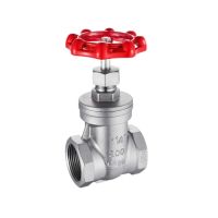 DN15-50 1/2" 3/4" 1" 1-1/4" 1-1/2" 2" BSPT Female Gate Valve 304 Stainless Steel Water Gas Oil Home Garden