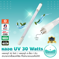 หลอดยูวี UV TUV 30 Watts 4/1 (4 เขี้ยว 1 ข้าง) TUV885MMT5 (9WAREE)