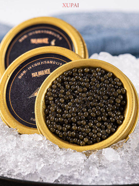 XUPAI Siberian Sturgeon Caviar Instant 10g Black Caviar Instant Canned