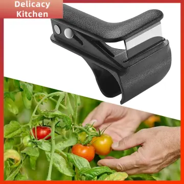 Shop Eggplant Slicer online - Nov 2023