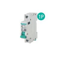 1P Mini Circuit Breaker MCB 1A 2A 3A 4A 5A 6A Din Rail Mounting Miniature Household Air Switch