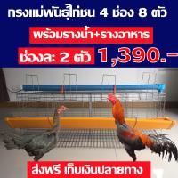 กรงตับเดี่ยว สำหรับแม่พันธู์ไก่ชน สำหรับเลี้ยง 8 ตัว 4 ช่อง พร้อมอุปกรณ์รางน้ำ+รางอาหาร