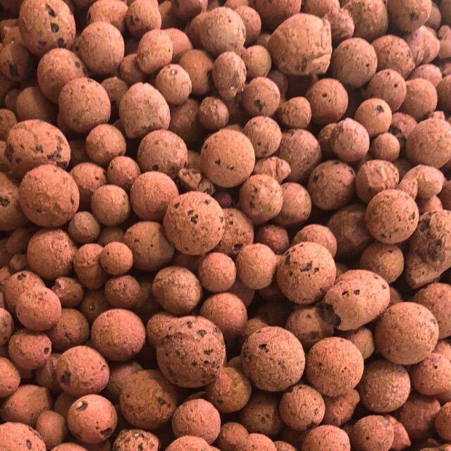 Hydroton Clay Pebbles — LECA | Lazada PH