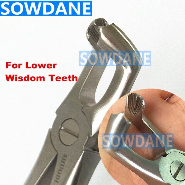 1 Piece Dental Lower Mandibular Molars Wisdom Teeth Extraction Forcep