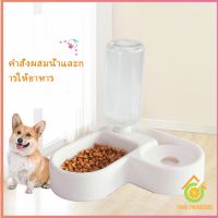 Thai pioneers ทรงหัวใจ เข้ามุม ชามอาหารสัตว์เลี้ยง ชามใส่อาหารและน้ำ 2in1 ชามเข้ามุม Pet bowl