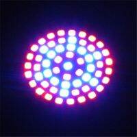 【☑Fast Delivery☑】 lan84 Grow Led 3W 60 Led หลอดไฟ41สีแดง19สีฟ้าสำหรับโรงงานไฮโดรโปนิกส์ Ac 220V