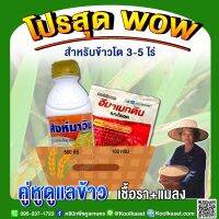 ชุดกำจัดเชื้อรา แมลง 3-5 ไร่ ป้องกันและกำจัดโรคใบจุดสีม่วง ใบไหม้ เมล็ดด่าง  หนอน คูลเกษตร KK288