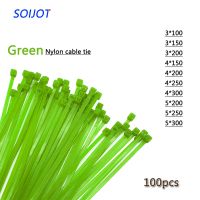Self-Locking Plastic Nylon Wire Cable Zip Ties 100pcs Green Cable Ties Fasten Loop Cable Various specifications