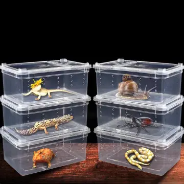 Coconut Hideout House Reptile Terrariums Tarantula Enclosure