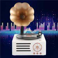 AR Mini Phonograph ลำโพงโรตารี่สเตอริโอเครื่องเล่นเพลงวิทยุ OutdoorM