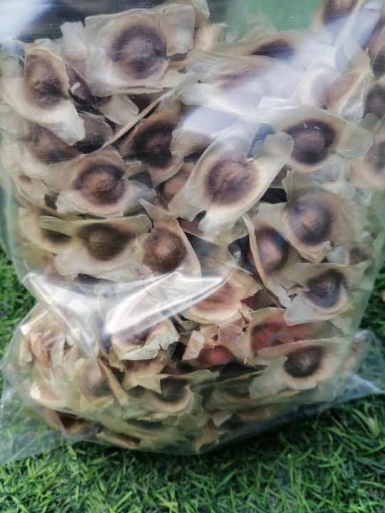 เม็ดมะรุมตากแห้ง-dried-moringa-seeds-ขนาด-100-กรัม