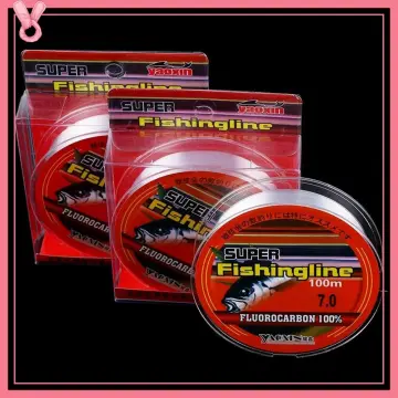 Fishing Line Clear Invisible Hanging Wire Strong Nylon String Clear  Fluorocarbon Strong Monofilament Fishing Wire For Fluorocarbon Fishs Line  3.5
