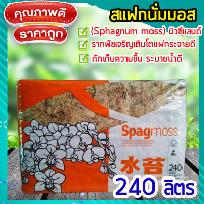 สแฟกนั่มมอส​นิวซีแลนด์ 240 ลิตร (3 กิโล)Sphagnum moss สแฟกนั่มมอสคุณภาพดี เพิ่มความชื้นให้ต้นไม้ รากไม่เน่า​ วัสดุ​ปลูก​ เพาะกล้า homes