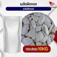 เมล็ดฟักทอง pumpkin seeds อาหารนก อาหารสัตว์ (กระสอบ 10KG)