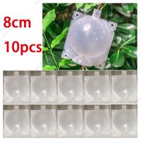 8cm 10pcs Fruit Plant Tree Rooting Ball Root Box Plastic Case Transparent Grafting Rooter Growing High-pressure Breeding WB15TH