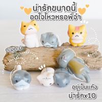 SP0292 ตุ๊กตาแมวน้อยน่ารัก 6 แบบ โมเดลแมวเกาะน่ารัก ฟิกเกอร์จิ๋ว แต่งสวน แต่งกระถาง * ถ่ายจากสินค้าจริง-จากไทย-ชุดสุดคุ้ม