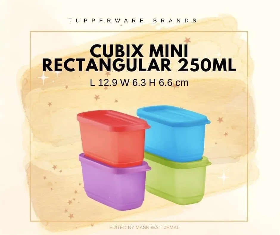 Tupperware Plastic Snack Box Klik Klak Small Container 250ml 4pc