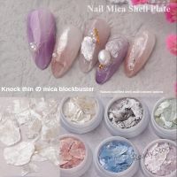 【hot sale】 ❐☜ B50 Natural Shell Mica Nail Art Accessories / Satin Silk Sequin Nail Art Jewelry / Symphony Nail Patches