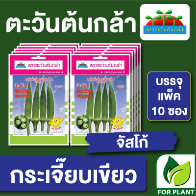 ผักซอง ตะวันต้นกล้า SP กระเจี๊ยบเขียว จัสโก้ บรรจุแพ็คล่ะ 10 ซอง ราคา 64 บาท