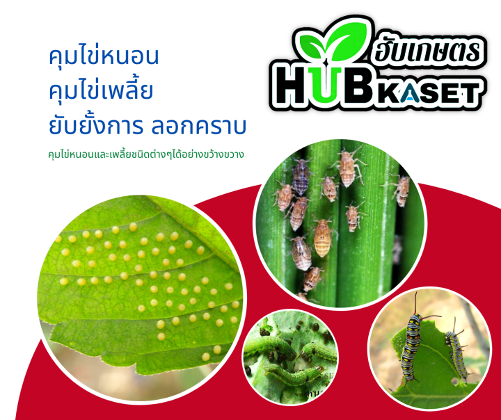 แซดบีฟิน25-1กิโลกรัม-บูโพรเฟซิน-ยาคุมไข่เพลี้ย-แมลงปากดูดทุกชนิด-เช่น-เพลี้ยกระโดด-เพลี้ยแป้ง-เพลี้ยหอย