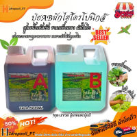 ปุ๋ยน้ำ AB ปุ๋ยไฮโดรโปรนิกส์ ขนาด 1 ลิตร 1000mlใช้ปลูก ผักสลัด ผักไทย กินใบ New